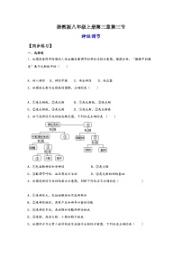 科学八年级上册第3章 生命活动的调节第3节 神经调节当堂检测题