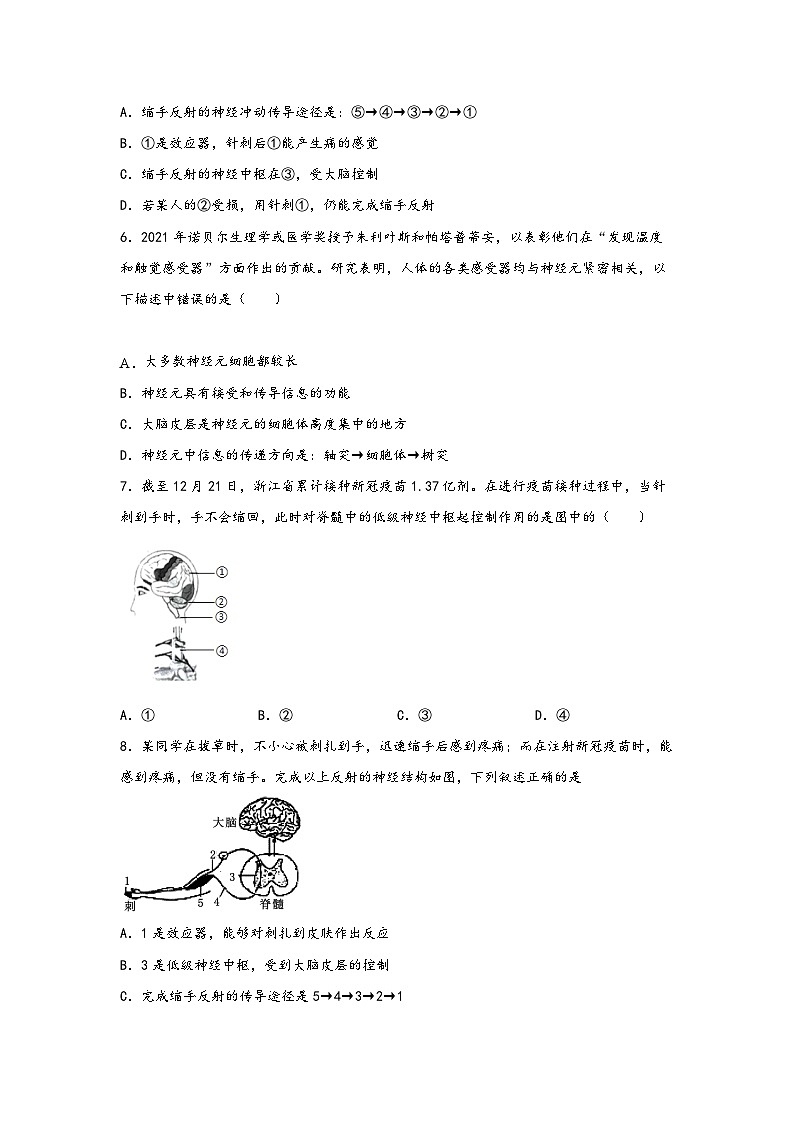 浙教版八年级上册科学讲练课堂3.3神经调节(练习)(原卷版+解析)02