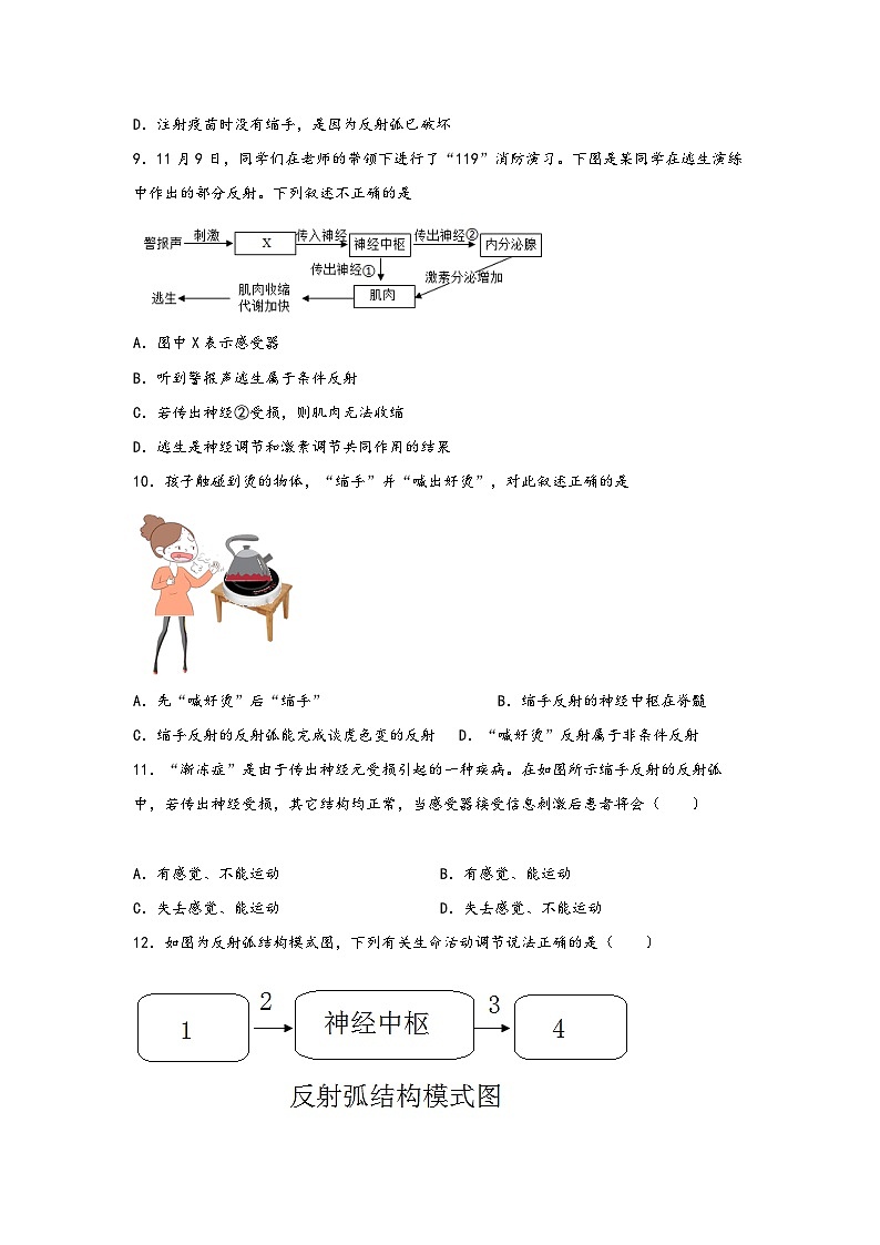 浙教版八年级上册科学讲练课堂3.3神经调节(练习)(原卷版+解析)03