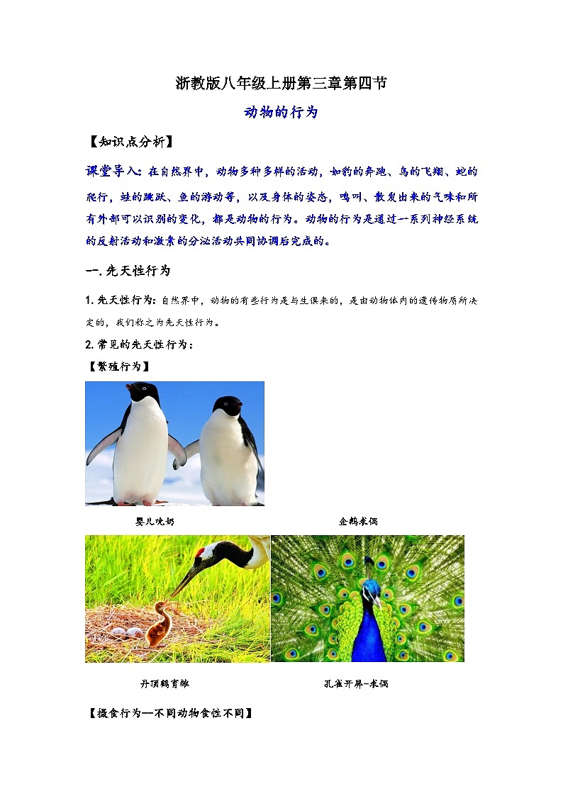 浙教版八年级上册科学讲练课堂3.4动物的行为(讲义)(原卷版+解析)01