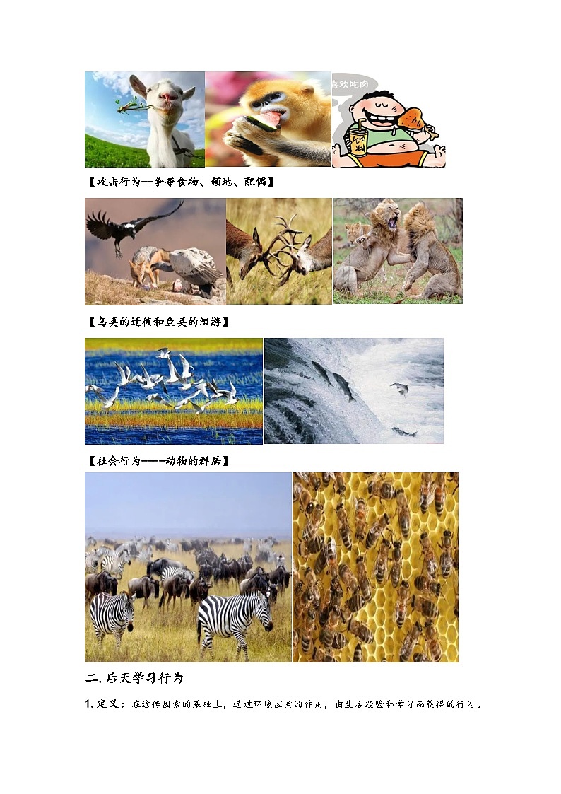 浙教版八年级上册科学讲练课堂3.4动物的行为(讲义)(原卷版+解析)02