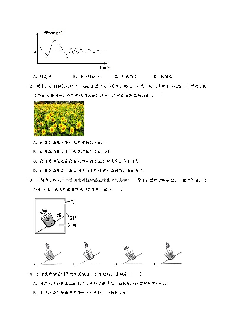 浙教版八年级科学上册讲练测第3章《生命活动的条件》单元练习(原卷版+解析)03