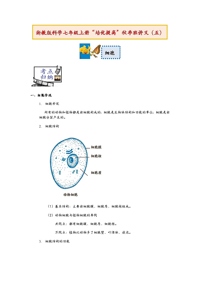 浙教版科学七年级上册“培优提高”秋季班讲义（五）：细胞【含答案】第1页