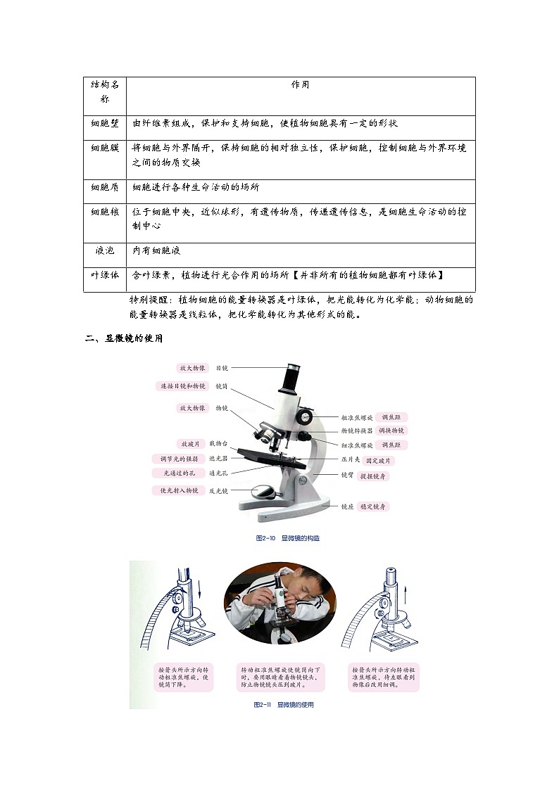 浙教版科学七年级上册“培优提高”秋季班讲义（五）：细胞【含答案】第2页