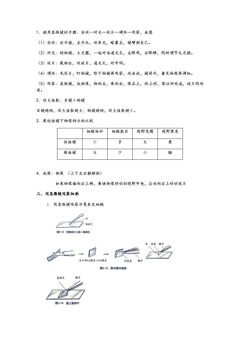 浙教版科学七年级上册“培优提高”秋季班讲义（五）：细胞【含答案】第3页