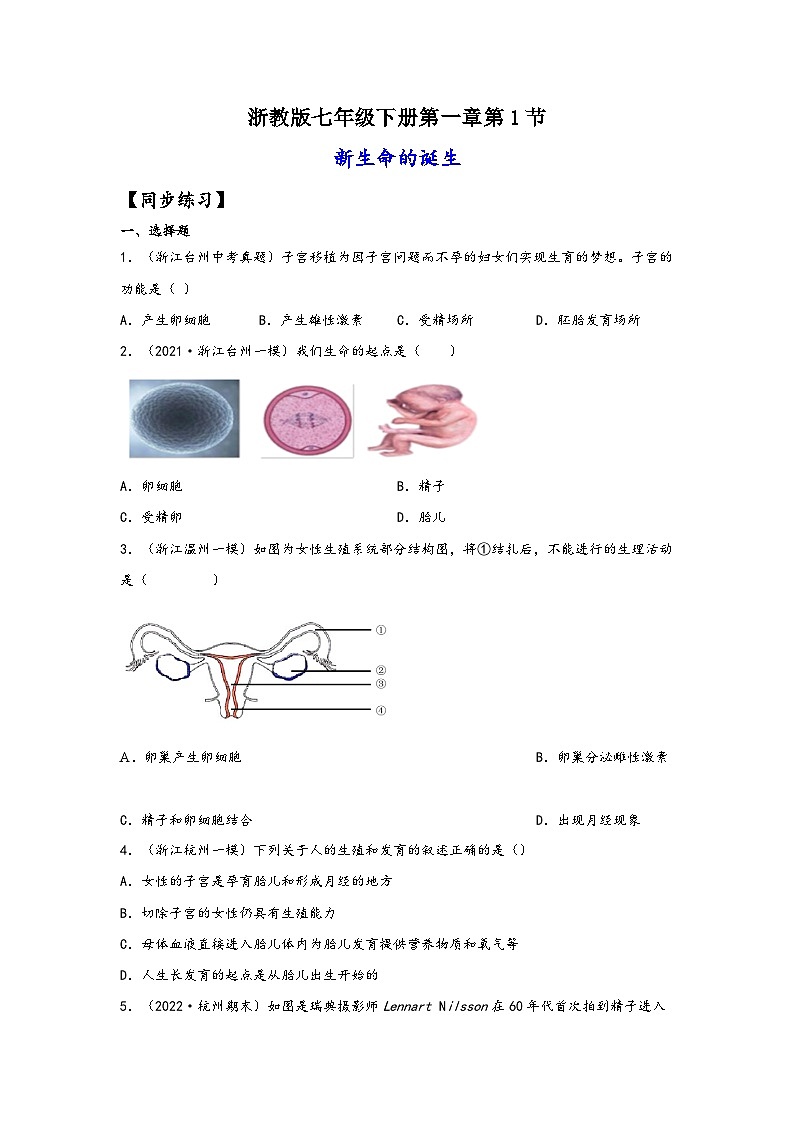 浙教版七年级科学下册同步精品课堂1.1新生命的诞生(练习)(原卷版+解析)01