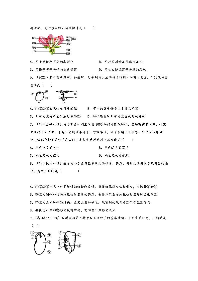 浙教版七年级科学下册同步精品课堂1.4植物的一生(练习)(原卷版+解析)02