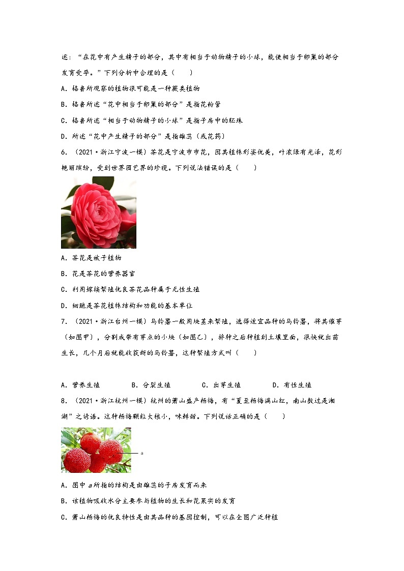 浙教版七年级科学下册同步精品课堂1.5植物生殖方式的多样性(练习)(原卷版+解析)02