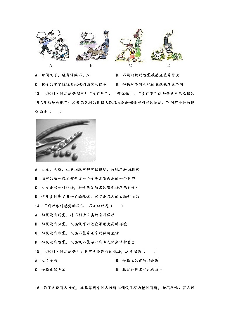 浙教版七年级科学下册同步精品课堂2.1感觉世界(练习)(原卷版+解析)03