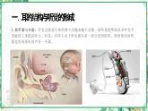 浙教版七年级科学下册同步精品课堂 2.3耳和听觉（课件）