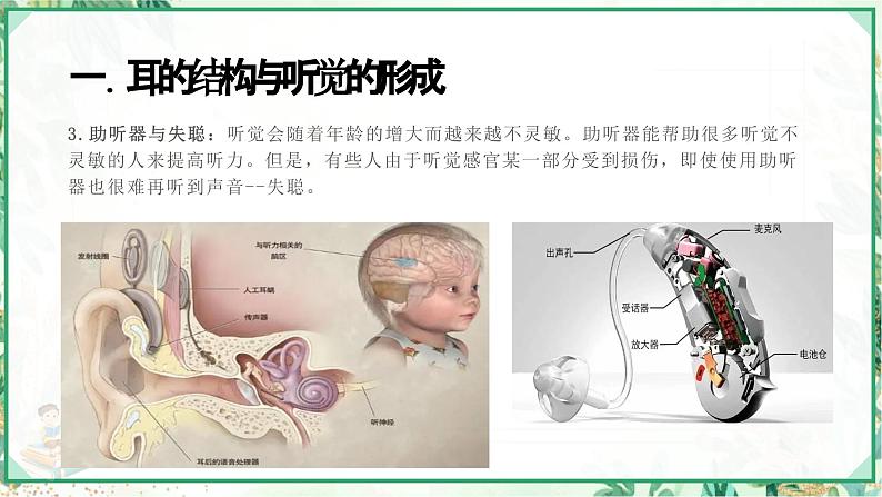 浙教版七年级科学下册同步精品课堂 2.3耳和听觉（课件）第5页