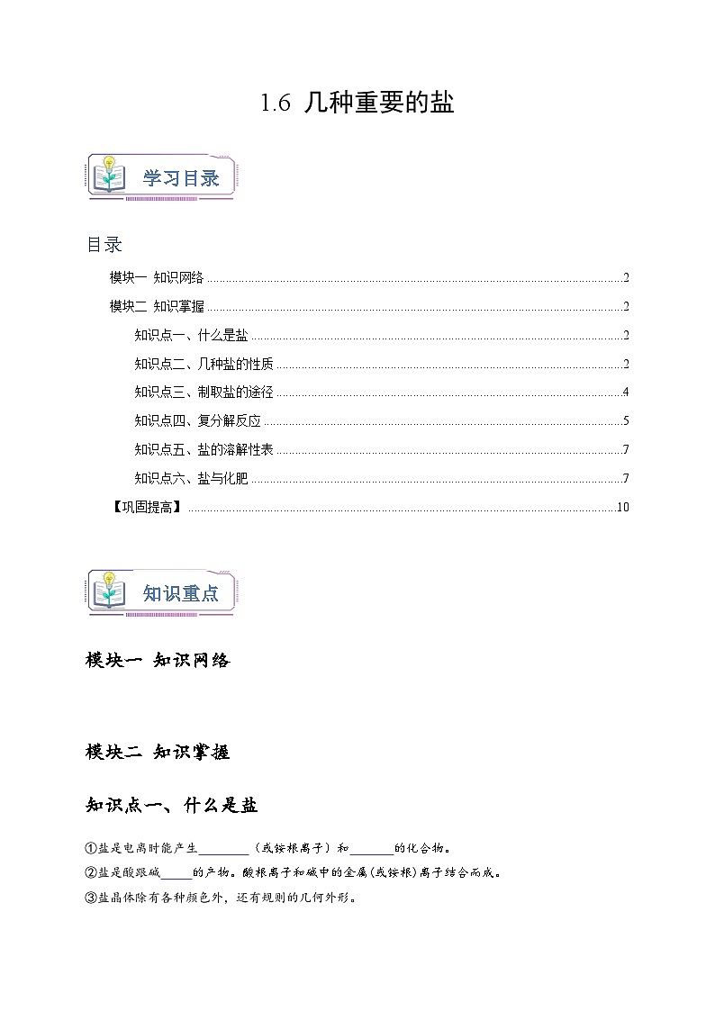 浙教版九年级科学上册1.6几种重要的盐(原卷版+解析)第1页