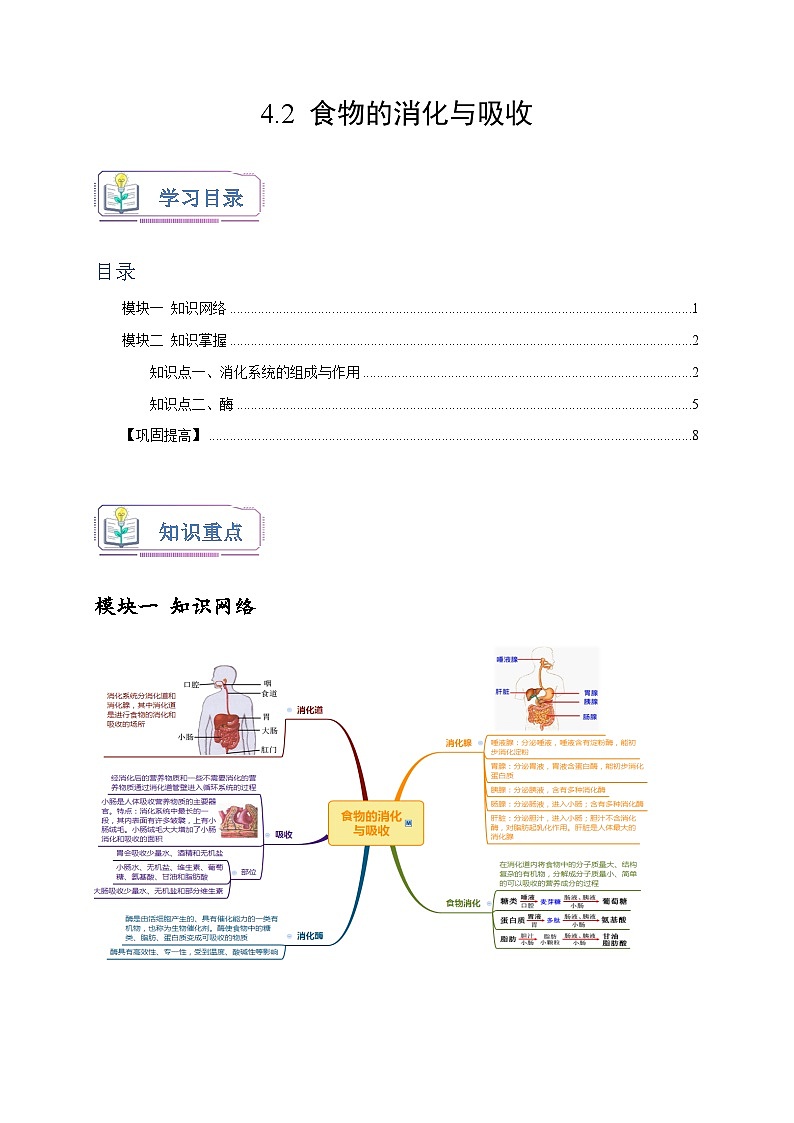 浙教版九年级科学上册4.2食物的消化与吸收(原卷版+解析)01