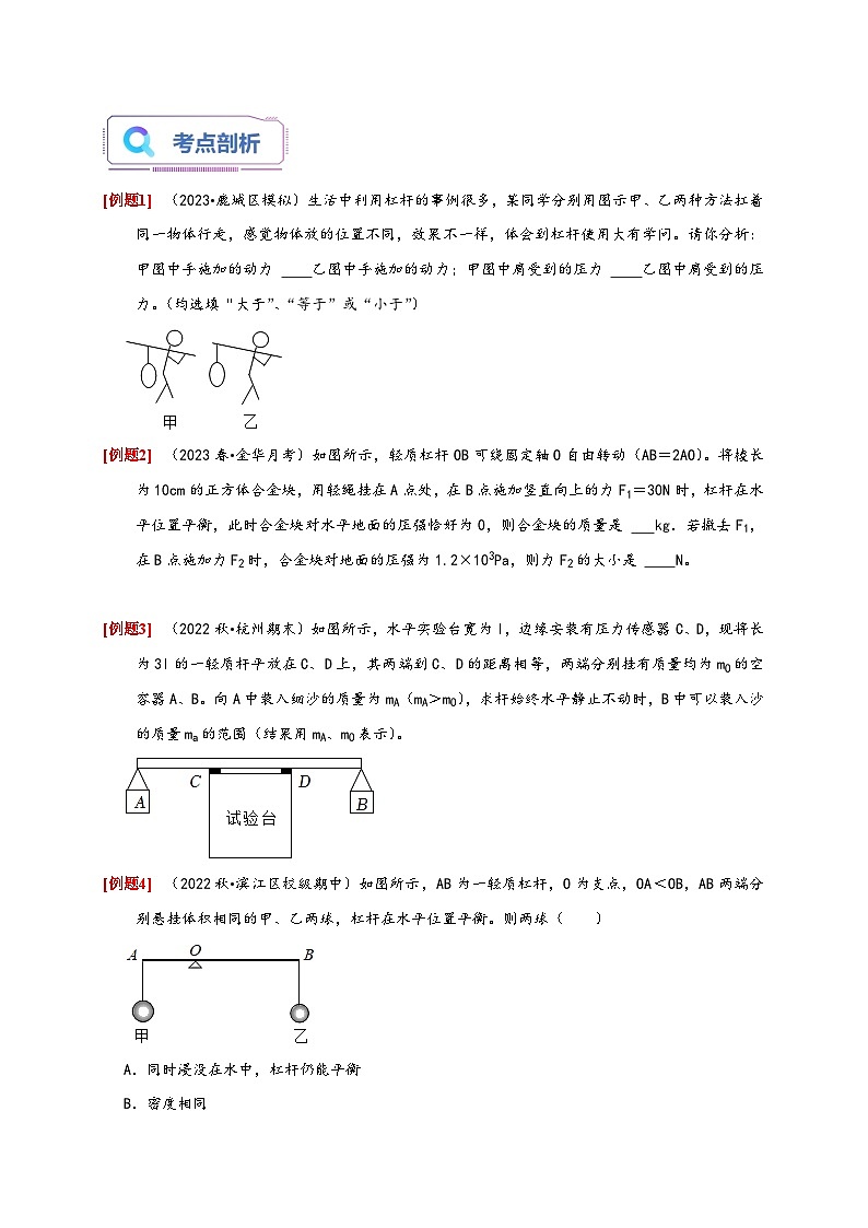 浙教版九年级科学上册专题提升Ⅰ杠杆平衡问题(原卷版+解析)02