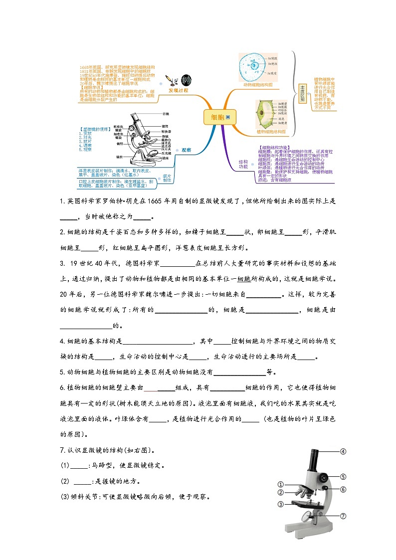 浙教版八年级科学上册讲练课堂第2章观察生物【速记清单】(原卷版+解析)02
