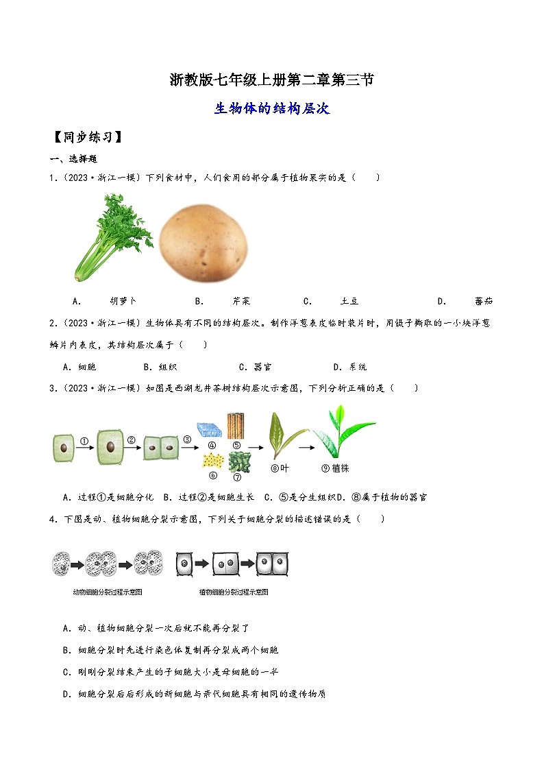 浙教版七年级科学上册讲练课堂2.3生物体的结构层次(练习)(原卷版+解析)01
