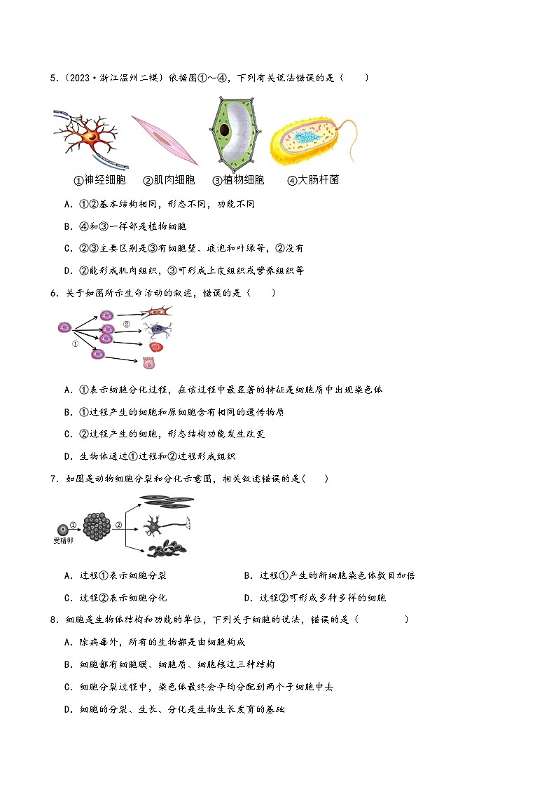 浙教版七年级科学上册讲练课堂2.3生物体的结构层次(练习)(原卷版+解析)02