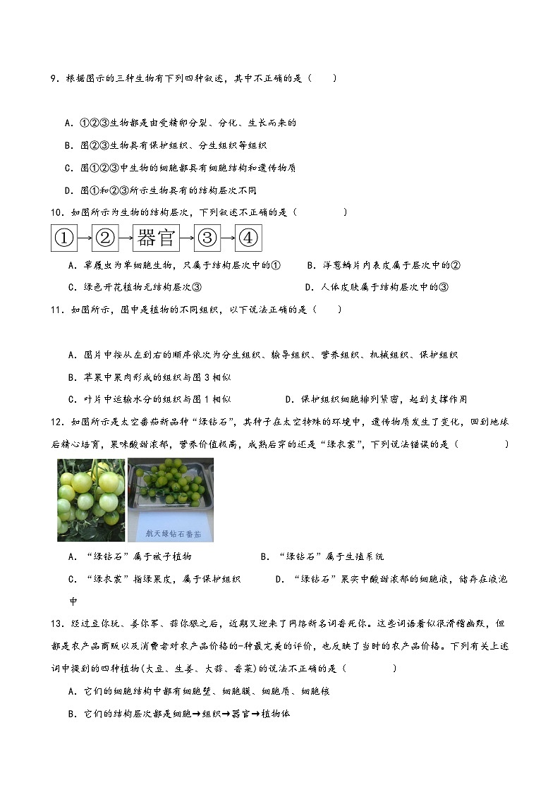 浙教版七年级科学上册讲练课堂2.3生物体的结构层次(练习)(原卷版+解析)03