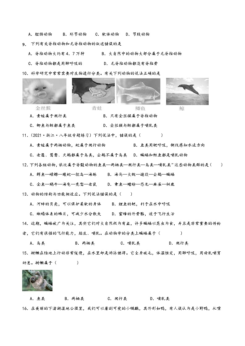 浙教版七年级科学上册讲练课堂2.4常见的动物(练习)(原卷版+解析)第3页
