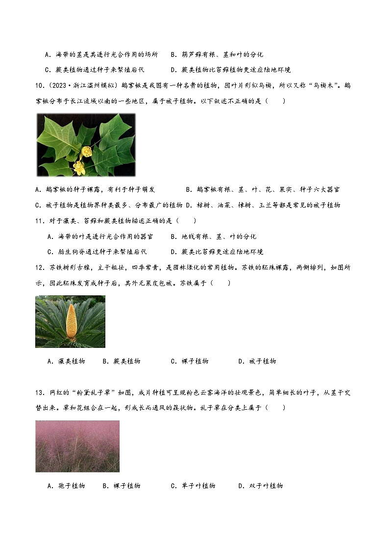浙教版七年级科学上册讲练课堂2.5常见的植物(练习)(原卷版+解析)03