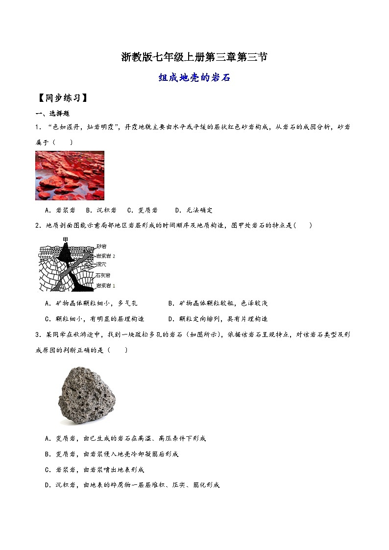 浙教版七年级科学上册讲练课堂3.3组成地壳的岩石(练习)(原卷版+解析)01