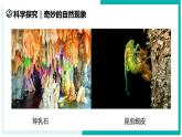 1.1 科学并不神秘-初中科学七年级上册 同步教学课件+素材（浙教版2024）