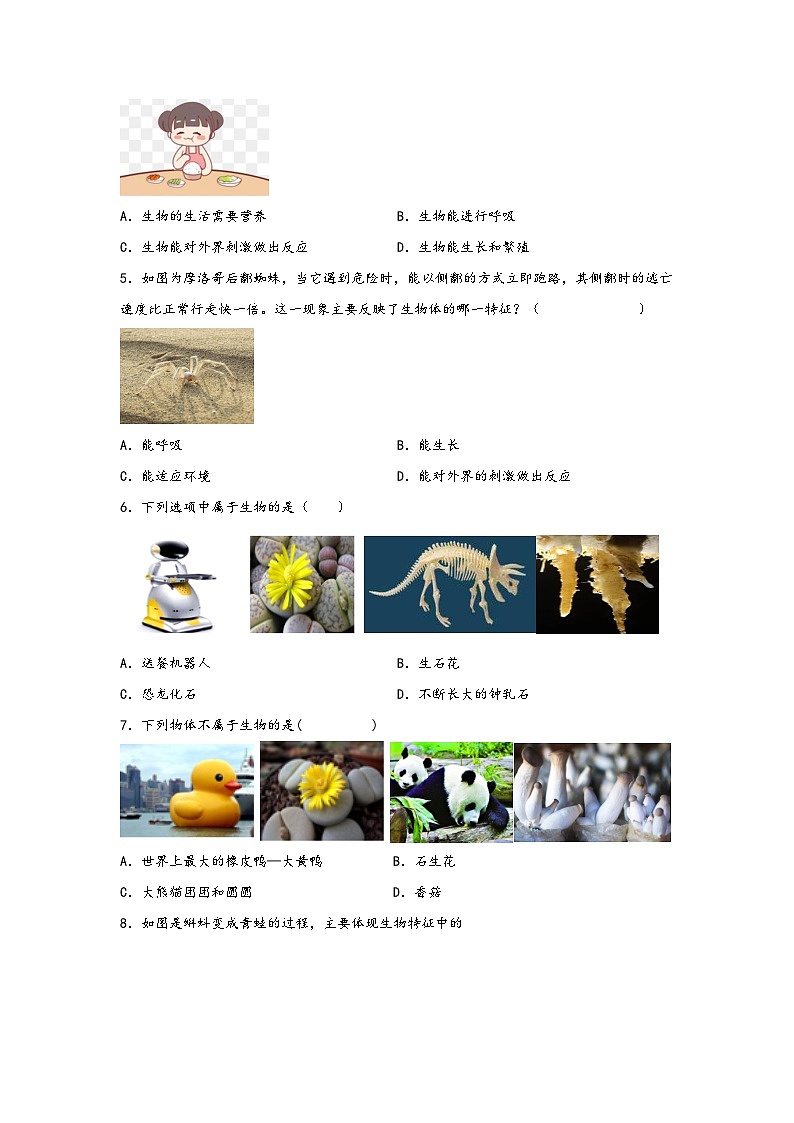浙教版七年级科学上册同步练习2.1生物与非生物(练习)(原卷版+解析)02