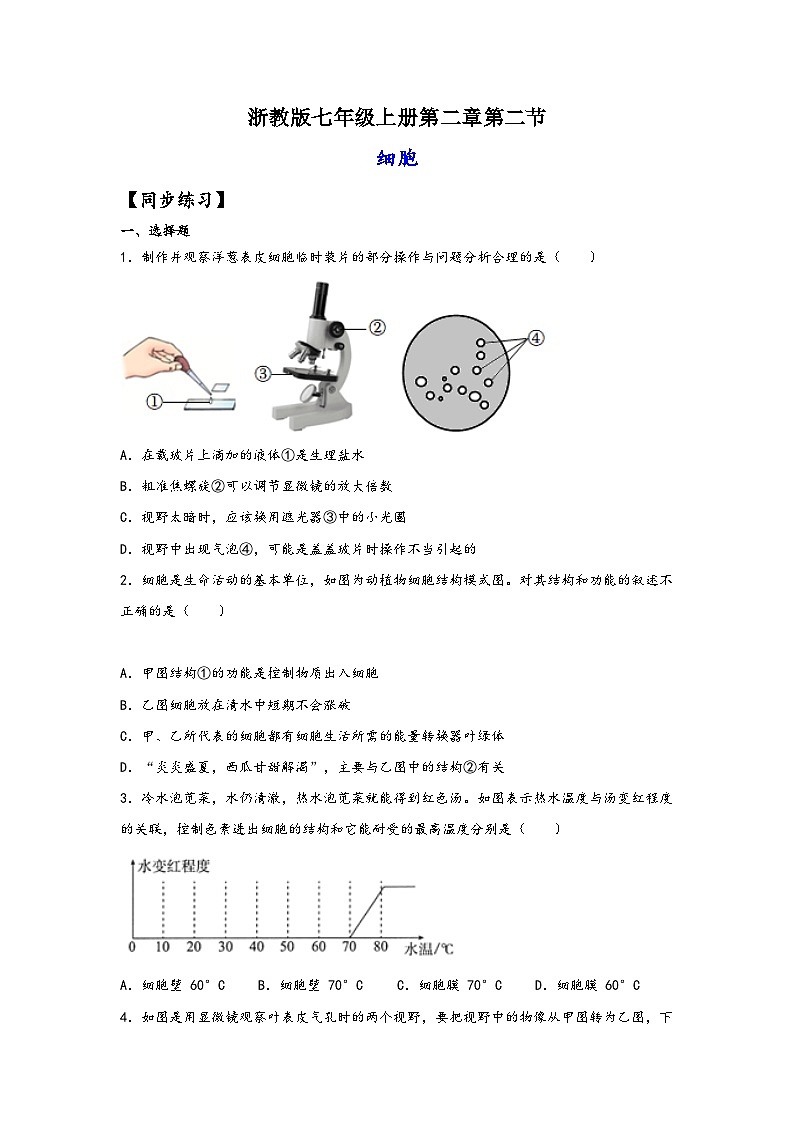 浙教版七年级科学上册同步练习2.2细胞(练习)(原卷版+解析)01