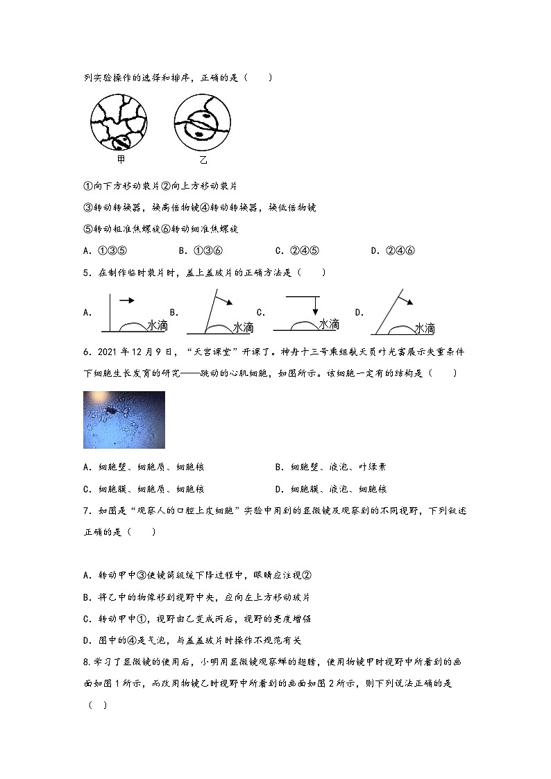 浙教版七年级科学上册同步练习2.2细胞(练习)(原卷版+解析)02