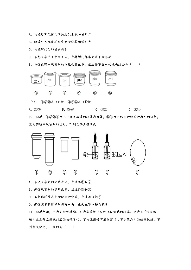浙教版七年级科学上册同步练习2.2细胞(练习)(原卷版+解析)03