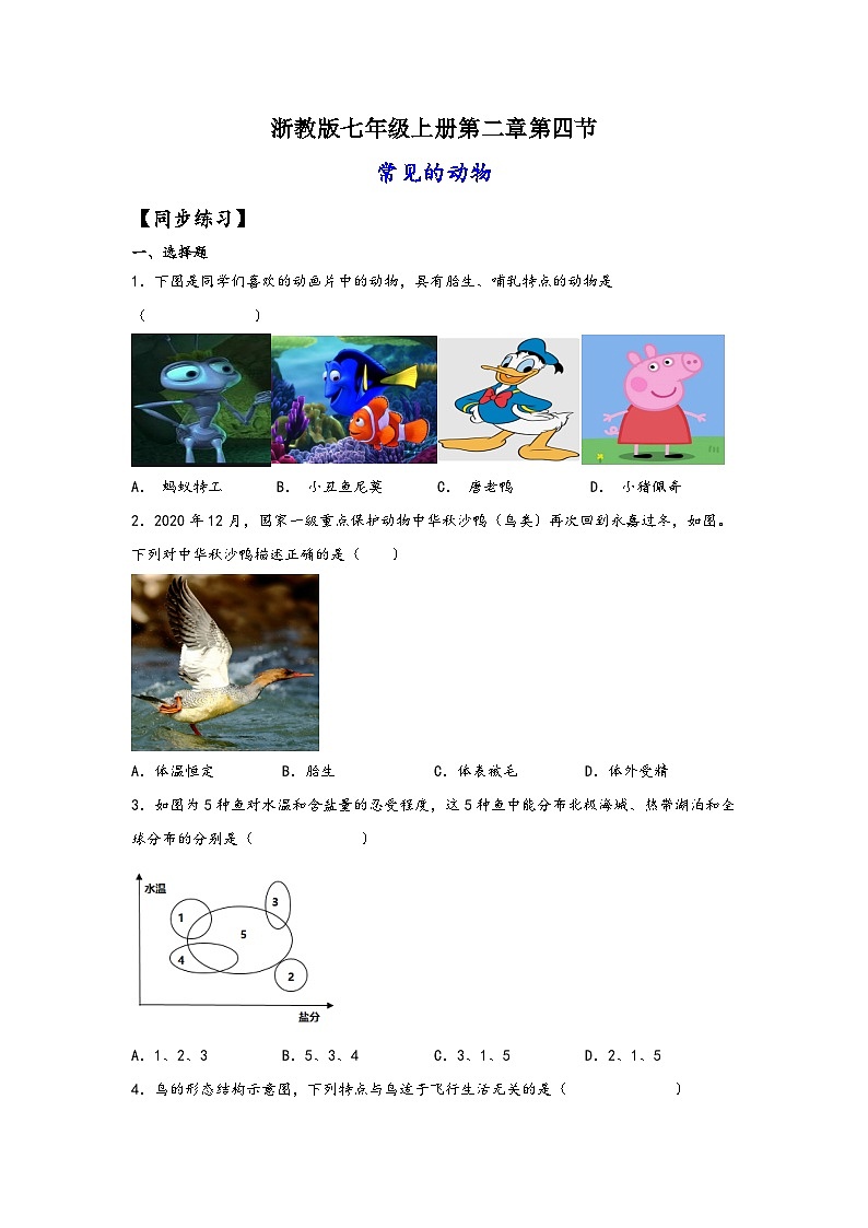 浙教版七年级科学上册同步练习2.4常见的动物(练习)(原卷版+解析)01