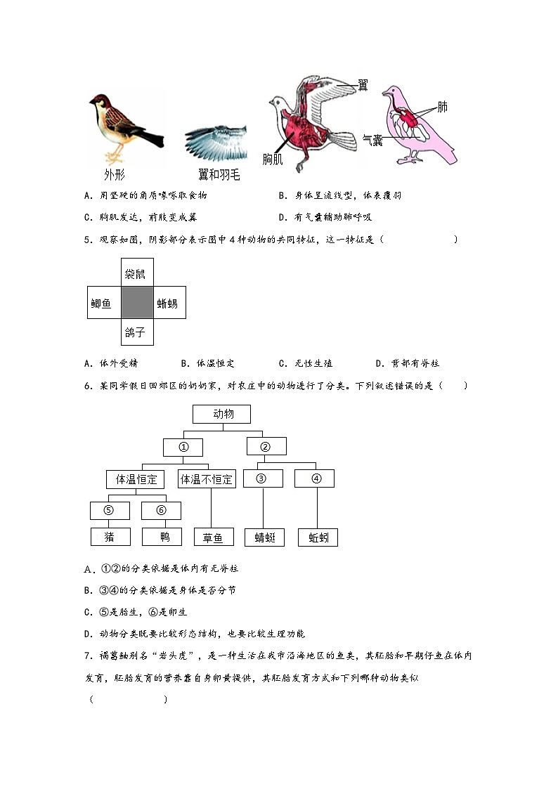 浙教版七年级科学上册同步练习2.4常见的动物(练习)(原卷版+解析)02