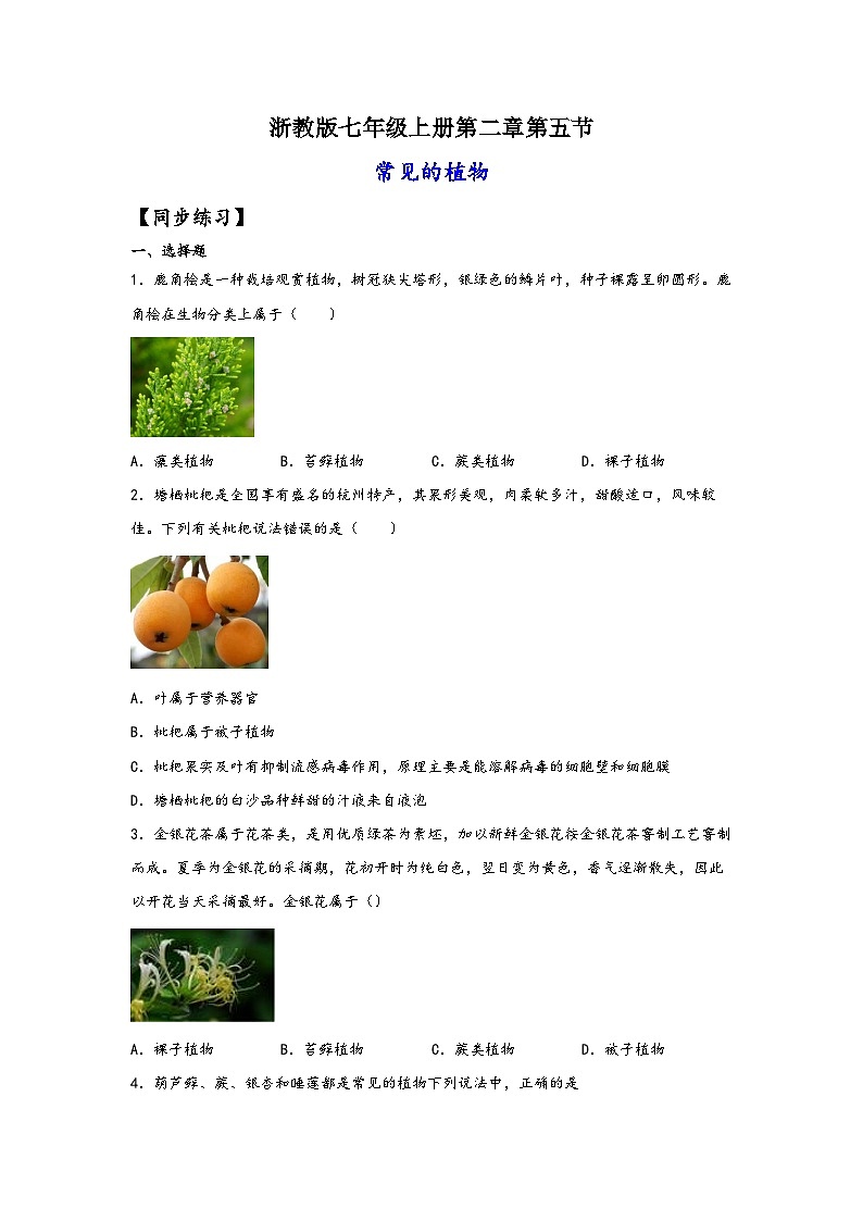 浙教版七年级科学上册同步练习2.5常见的植物(练习)(原卷版+解析)01