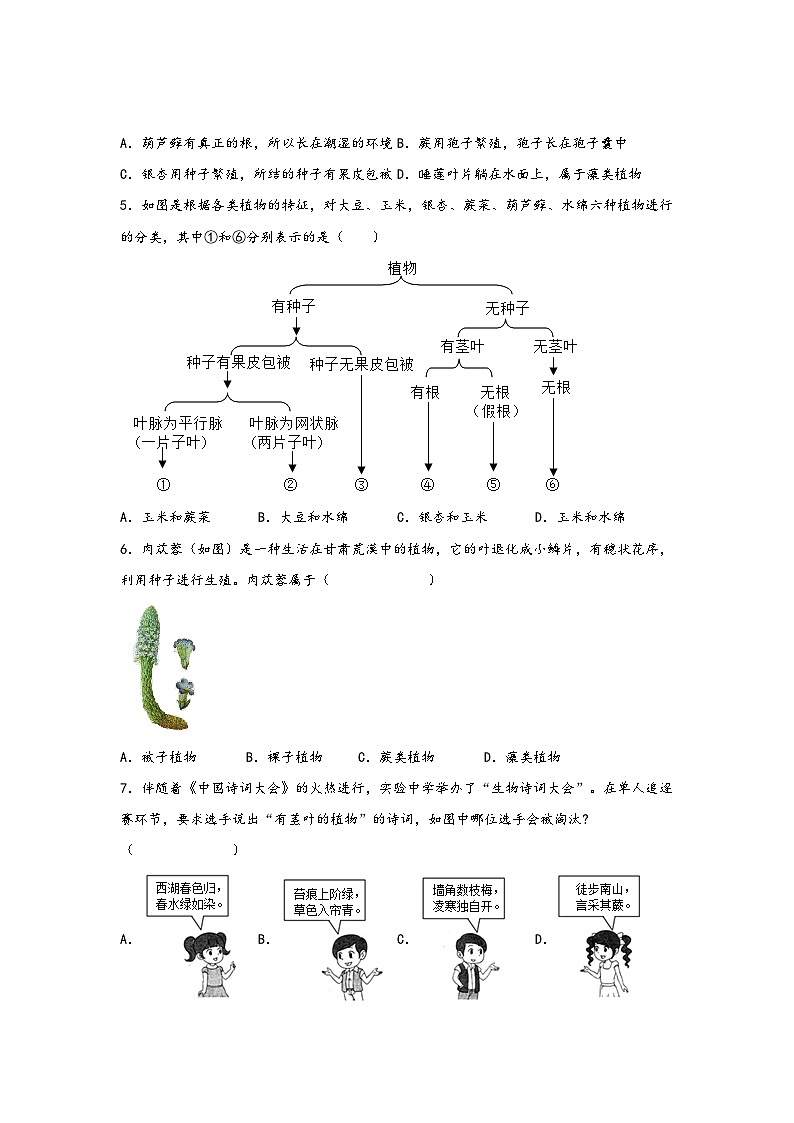 浙教版七年级科学上册同步练习2.5常见的植物(练习)(原卷版+解析)02