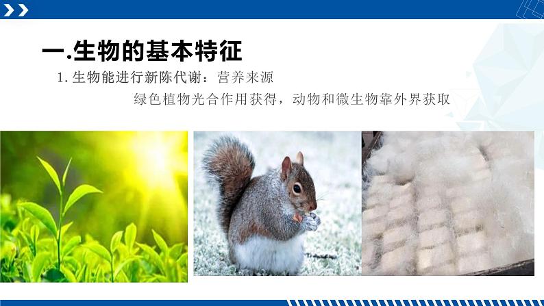 浙教版七年级科学上册同步精品课堂 2.1生物与非生物（课件）04