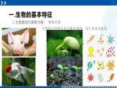 浙教版七年级科学上册同步精品课堂 2.1生物与非生物（课件）