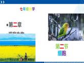 浙教版七年级科学上册同步精品课堂 2.2细胞（课件）