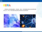 浙教版七年级科学上册同步精品课堂 2.2细胞（课件）