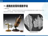 浙教版七年级科学上册同步精品课堂 2.2细胞（课件）