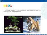 浙教版七年级科学上册同步精品课堂 2.3生物体的结构层次（课件）