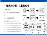 浙教版七年级科学上册同步精品课堂 2.3生物体的结构层次（课件）