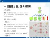 浙教版七年级科学上册同步精品课堂 2.3生物体的结构层次（课件）