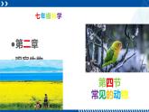 浙教版七年级科学上册同步精品课堂 2.4常见的动物（课件）