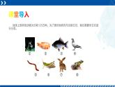 浙教版七年级科学上册同步精品课堂 2.4常见的动物（课件）