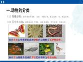 浙教版七年级科学上册同步精品课堂 2.4常见的动物（课件）