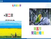 浙教版七年级科学上册同步精品课堂 2.5常见的植物（课件）