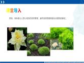 浙教版七年级科学上册同步精品课堂 2.5常见的植物（课件）