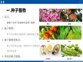 浙教版七年级科学上册同步精品课堂 2.5常见的植物（课件）