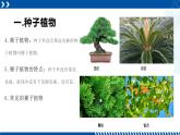 浙教版七年级科学上册同步精品课堂 2.5常见的植物（课件）