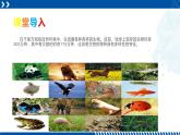 浙教版七年级科学上册同步精品课堂 2.6物种的多样性（课件）